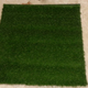 That’s some high quality grass right there